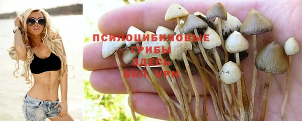 MDMA Premium VHQ Верхний Тагил